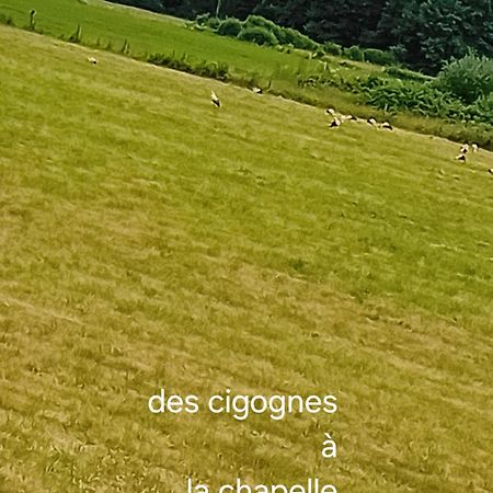 Guiguitte Daire La Chapelle-les-Luxeuil Dış mekan fotoğraf